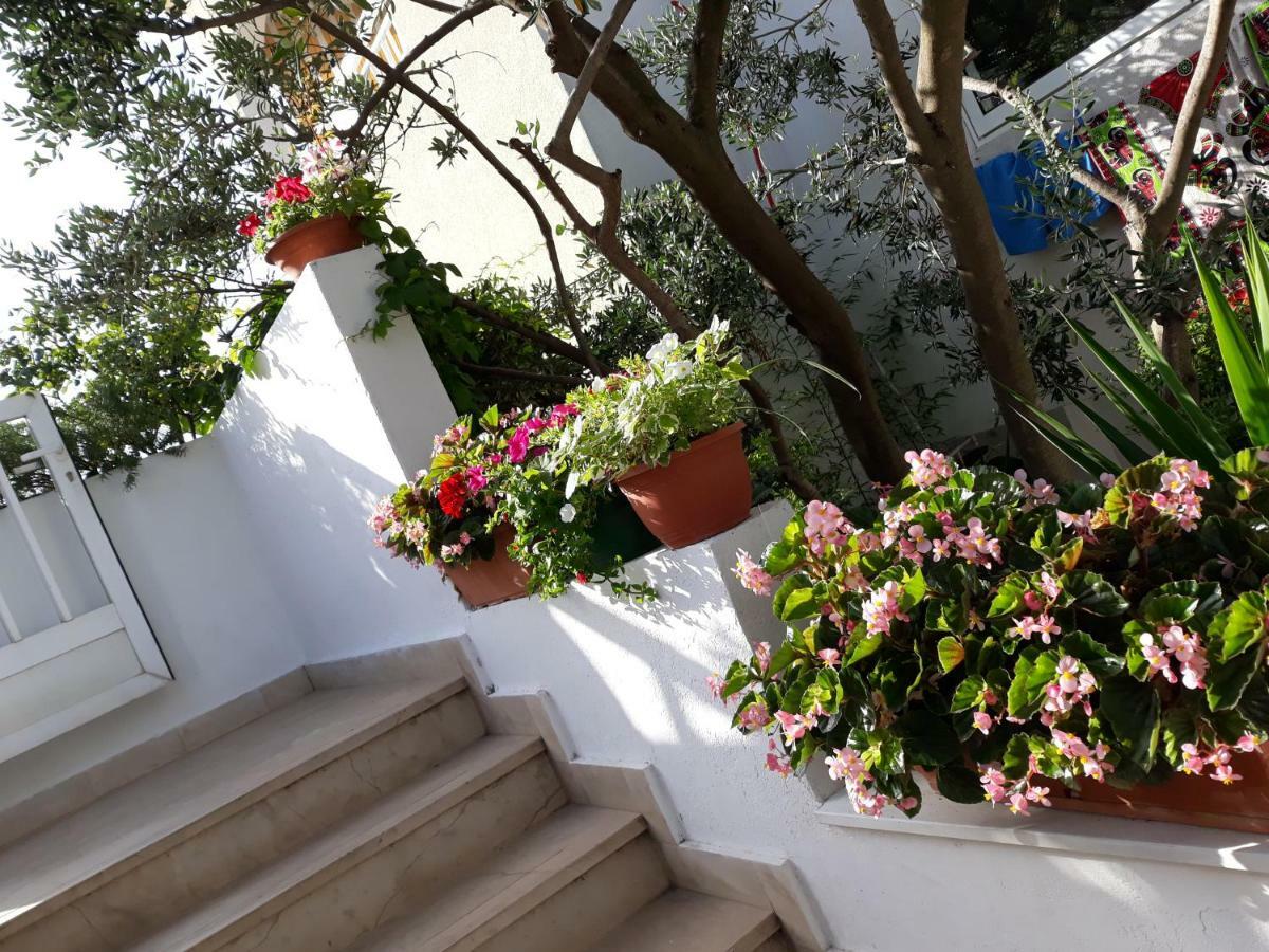 B&B Buzolic Χβαρ Εξωτερικό φωτογραφία